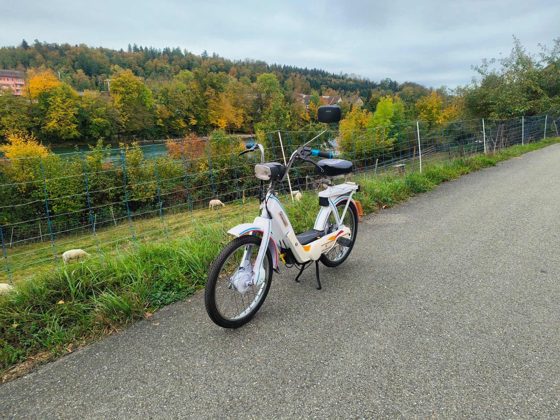Piaggio Mofas: Piaggio Ciao+Ausweis.Led Lichter – Gebraucht aus Fulenbach von Elektronik 5