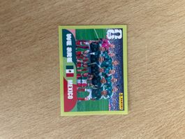 MEX 13 - Team
