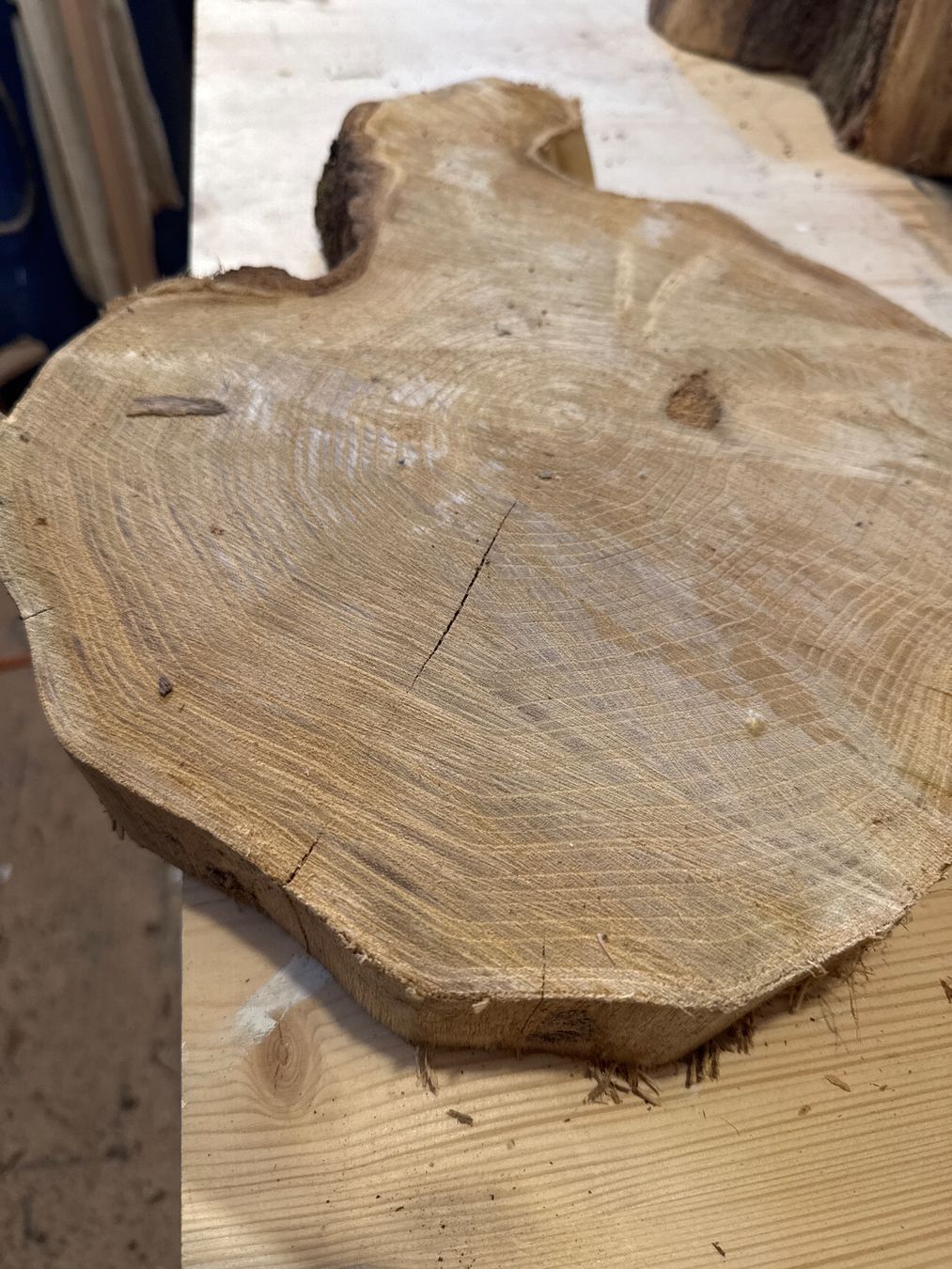 Holzartikel: Rustikale Baumscheibe , Unikate Stücke – Gebraucht aus Brunnen von Holz-style 1