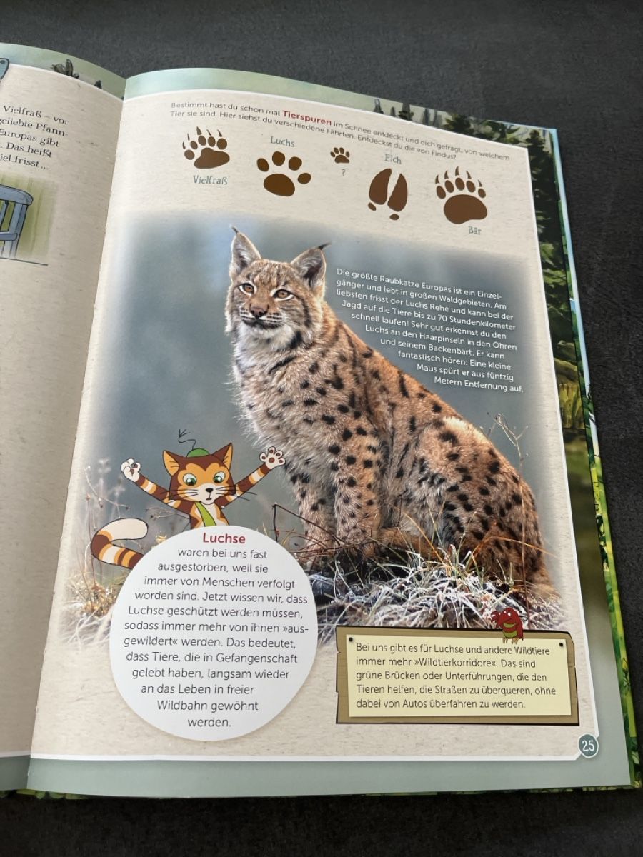 Livres: Pettersson und Findus – D'occasion à Niederhasli par Suneblueme 3