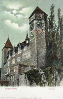 Mondschein-AK RAPPERSWIL Schloss - Ed. Guggenheim