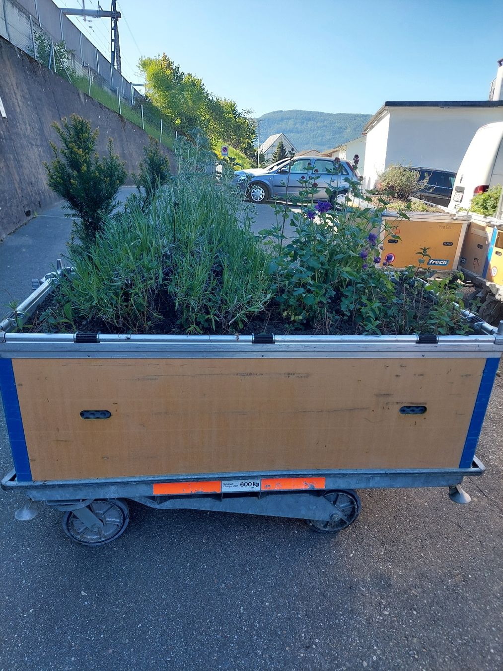 Vasi per fiori: Rollender Pflanzkasten, bepflanzt mit Kräutern, – Usato da Trimbach venduto da dan_9chk 3