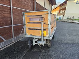 Post Wagen