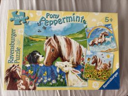 Pferde Puzzle (3 x 49)