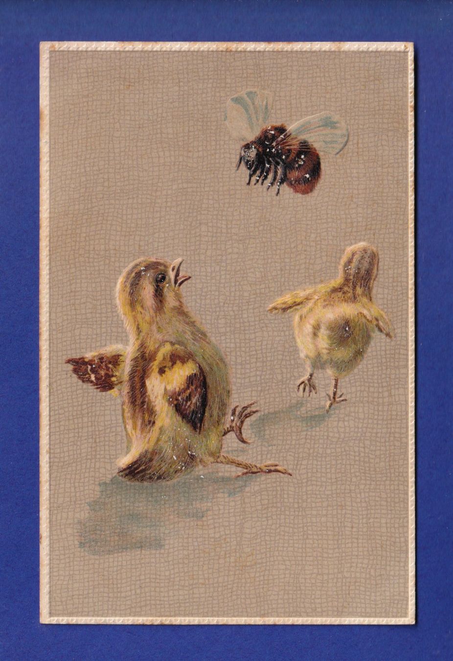 Cartes postales: OISEAU - Poussins et abeille – D'occasion à Pully par nicecards-shop