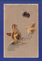 OISEAU - Poussins et abeille