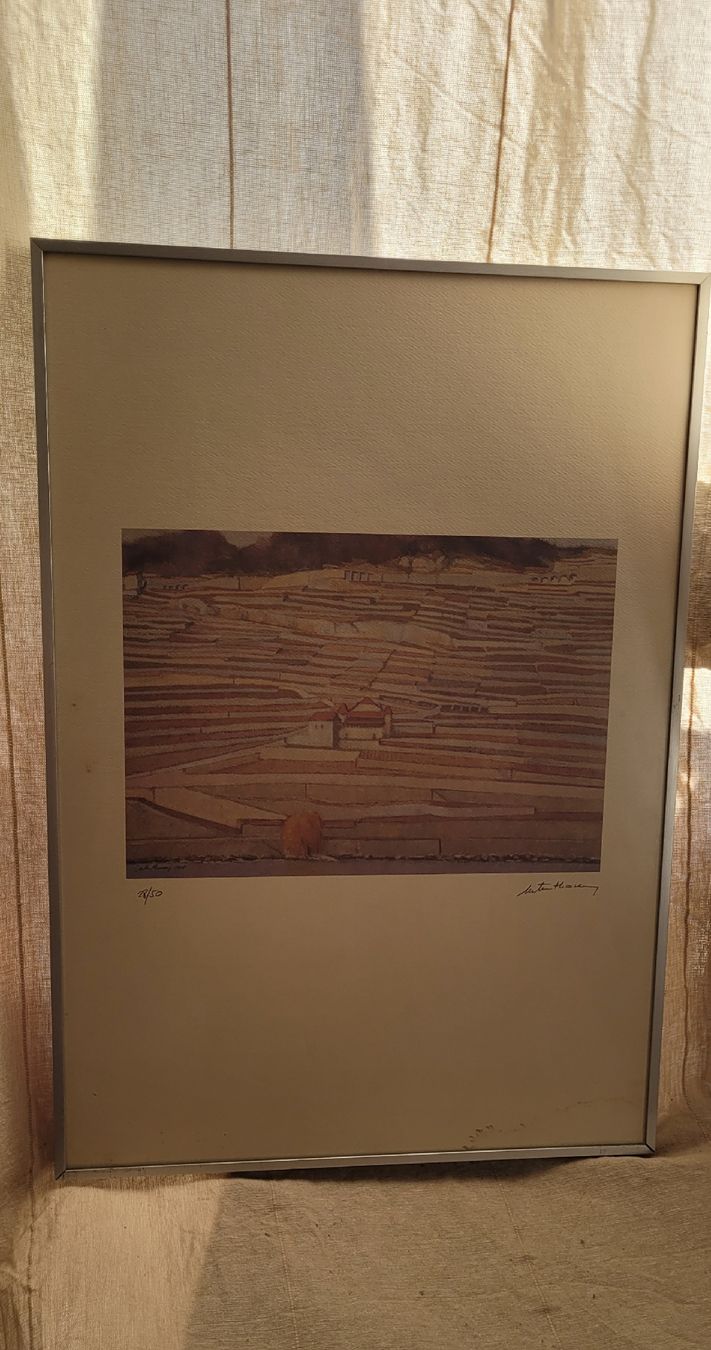 Grafica & Litografie: M.Tenthorey, Litho signée et numérotée, vignes, Lavaux – Usato da Vevey venduto da lba_dd82 1