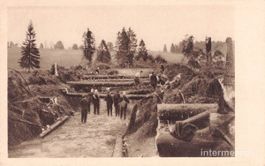 La Chaux-de-Fonds NE // 12. Juni 1926 Cyclone Menschen Tanne