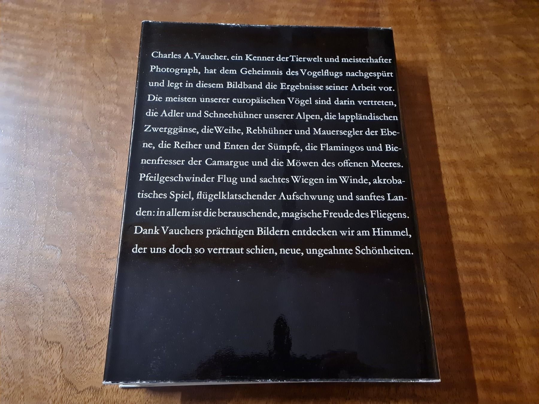 Libri: Vögel im Flug – Usato da Erstfeld venduto da Uhu1980 3