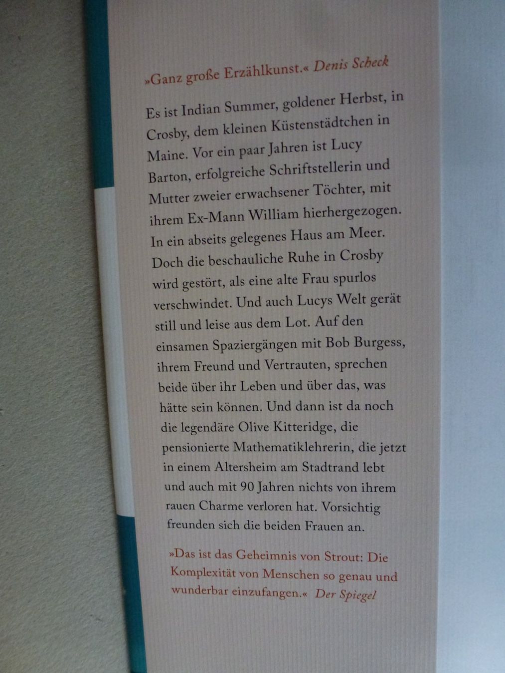 Libri: Erzähl mir alles - Elizabeth Strout – Nuovo (secondo la descrizione) da Mühlrüti venduto da Dadadachs 2