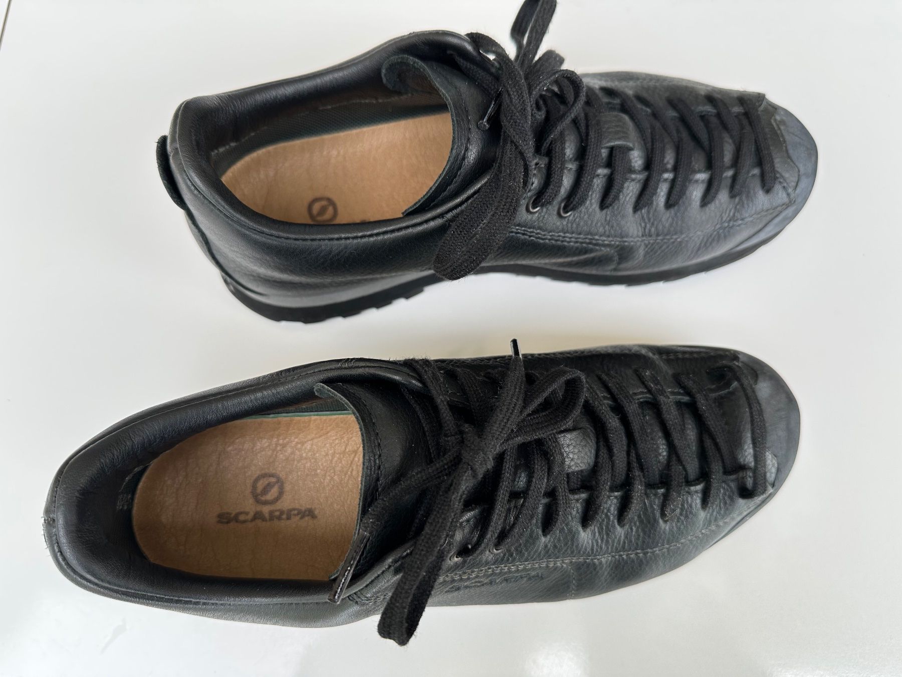 Scarpa Damenschuhe: Scarpa Mojito Basic GTX GORE-TEX  Leder schwarz Grösse 38 – Gebraucht aus Zeiningen von Yellowblue
