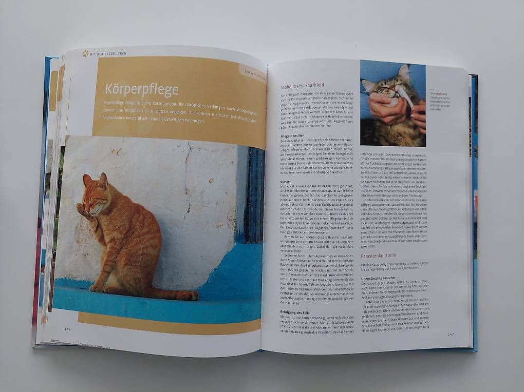 Livres: Alles über Katzen – D'occasion à Balm b. Günsberg par rob_smj8 4