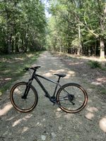 Fokus Mountainbike Hardtail Grau Grösse L guter Zustand