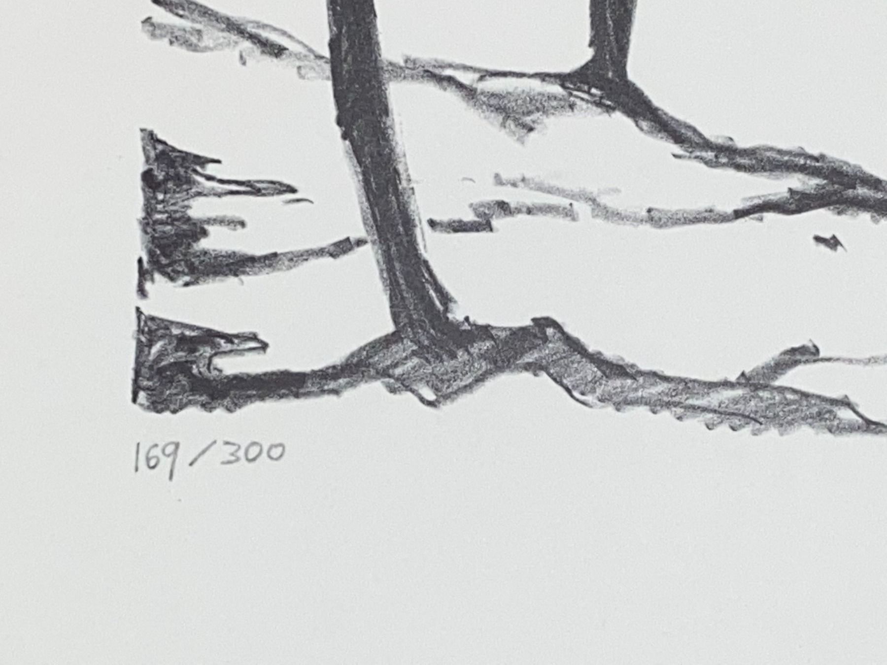 Grafica & Litografie: Josef Zimmermann Lithografie Original – Usato da Vaduz venduto da Unikate-Markt 2