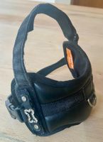 Hunde Halsband/Geschirr