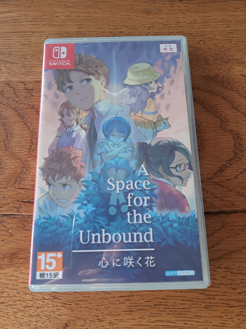 Nintendo Giochi: A Space for the Unbound Switch – Usato da Zürich venduto da Mr.Heli