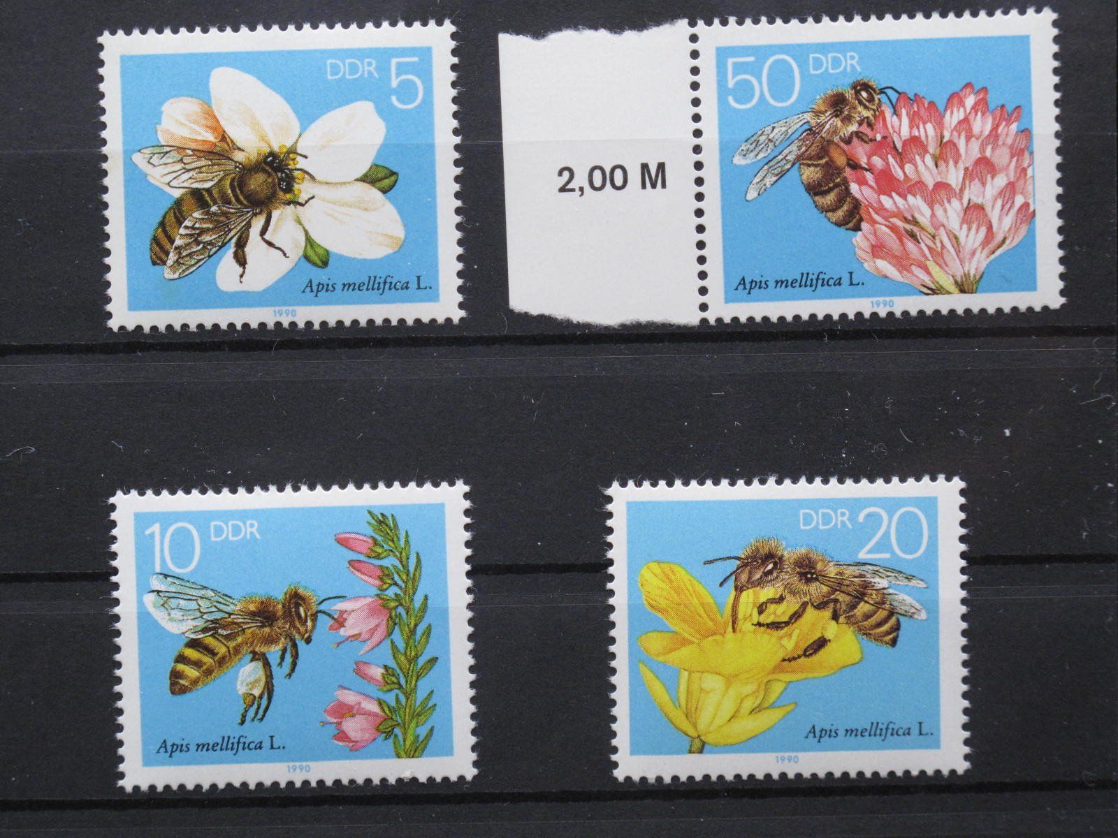 Tutti i francobolli: DDR 1990 Bienen ** – Usato da Wil SG venduto da fva01