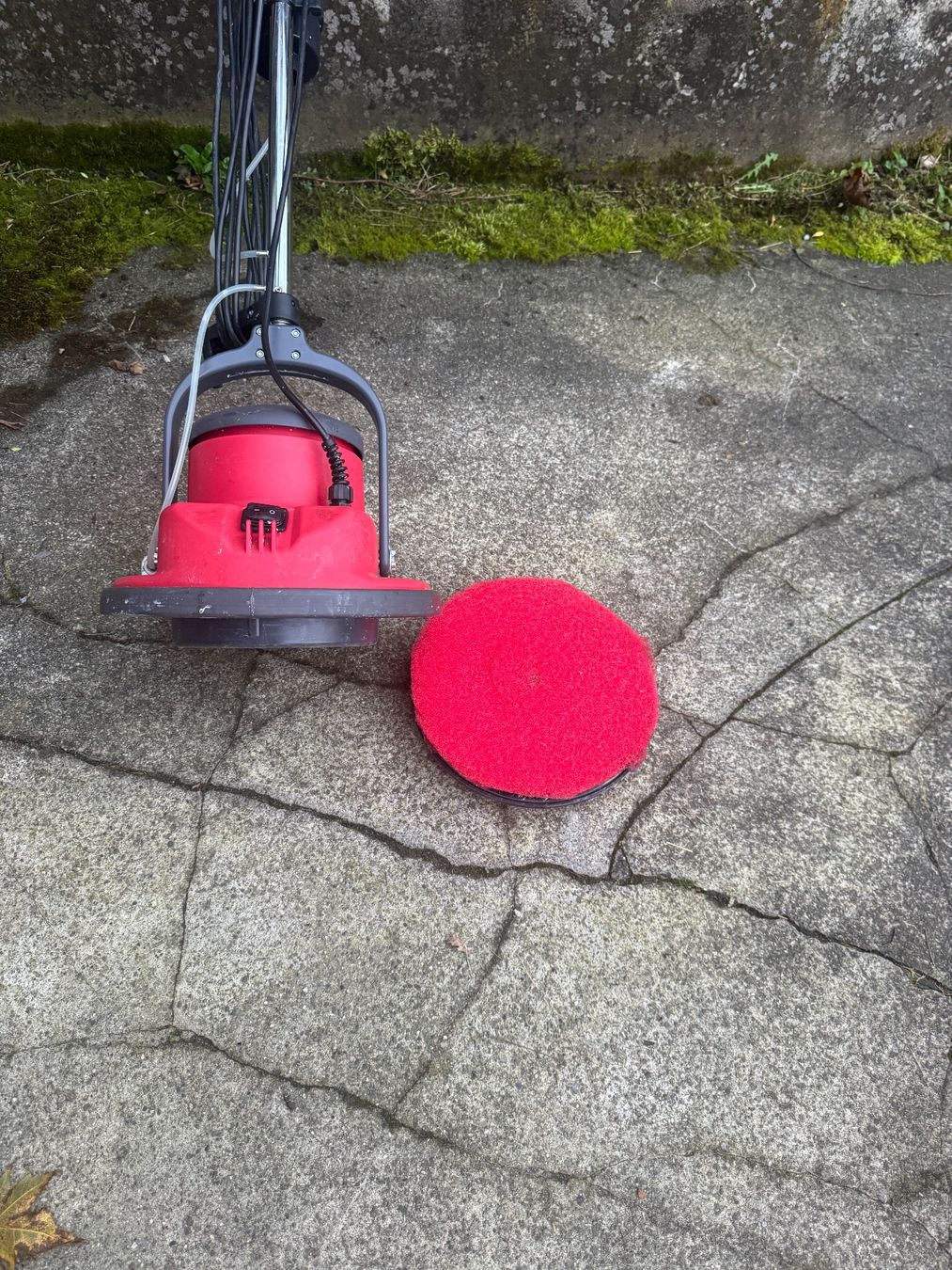 Tutte le macchine: CLEANFIX FloorMac Eischeibenmaschine #Taski Wetrok Kärcher – Usato da Brugg venduto da Vwtiguan1- 3