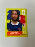 Carte panini 2026 - FRA 14