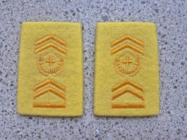 Gradabzeichen Patten Set Hauptadjutant Panzergrenadier