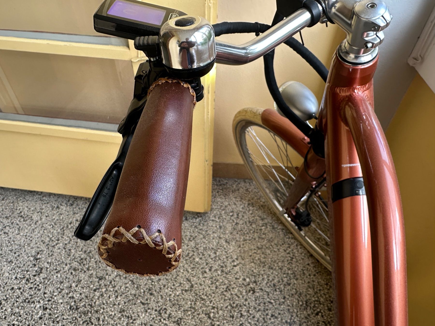 Ego Movement Biciclette: E-Bike EGO Cleopatra – Usato da Bern venduto da Korewanan 5