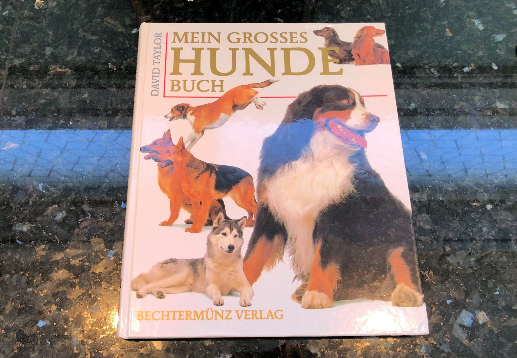 Libri: Mein Grosses Hundebuch – Usato da Rüti ZH venduto da Jasna89