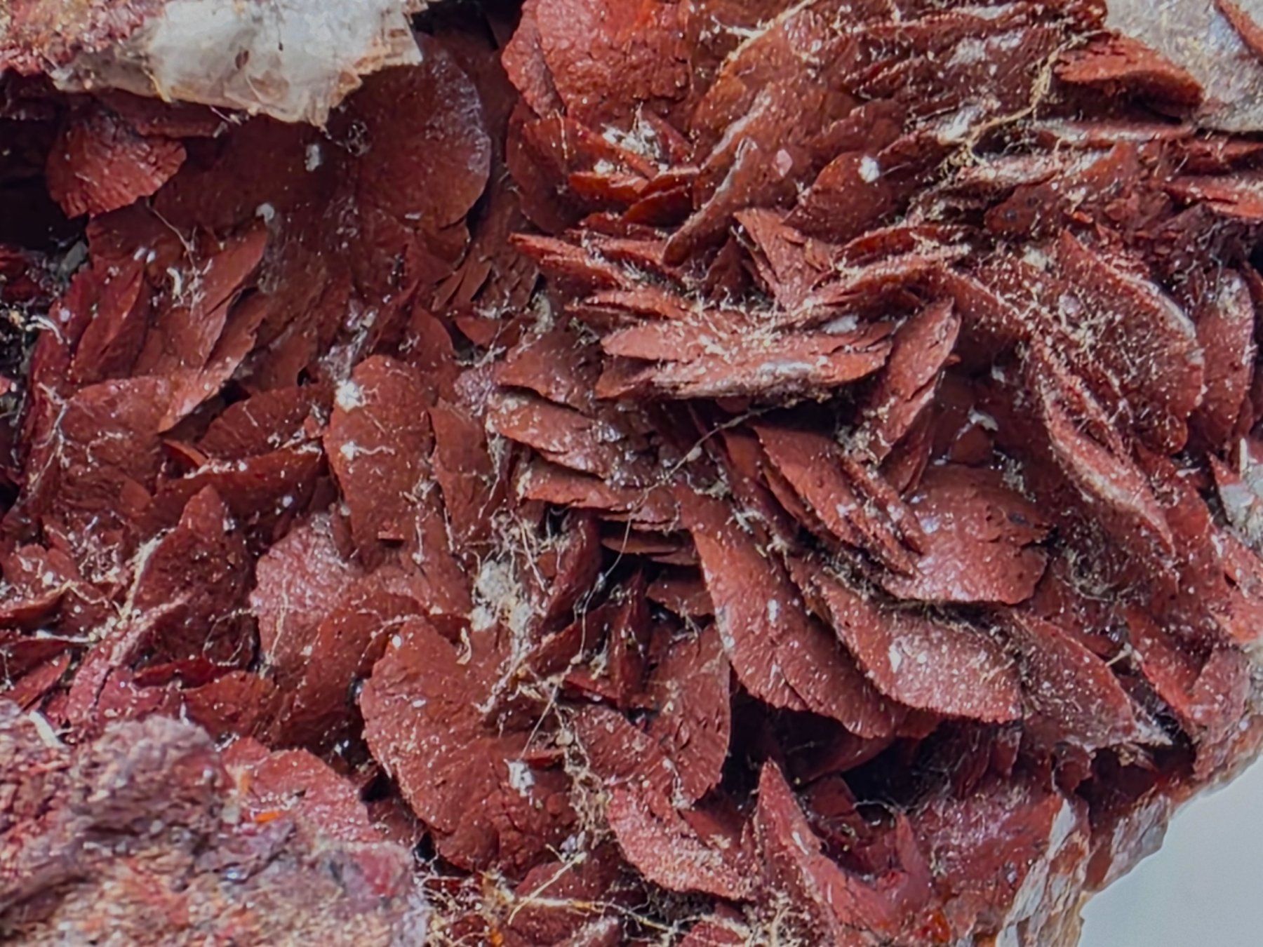 Minerali & Pietre curative: Elegant Siderite Barite , Brosso Mine Italy – Usato da Figino venduto da minshop 5