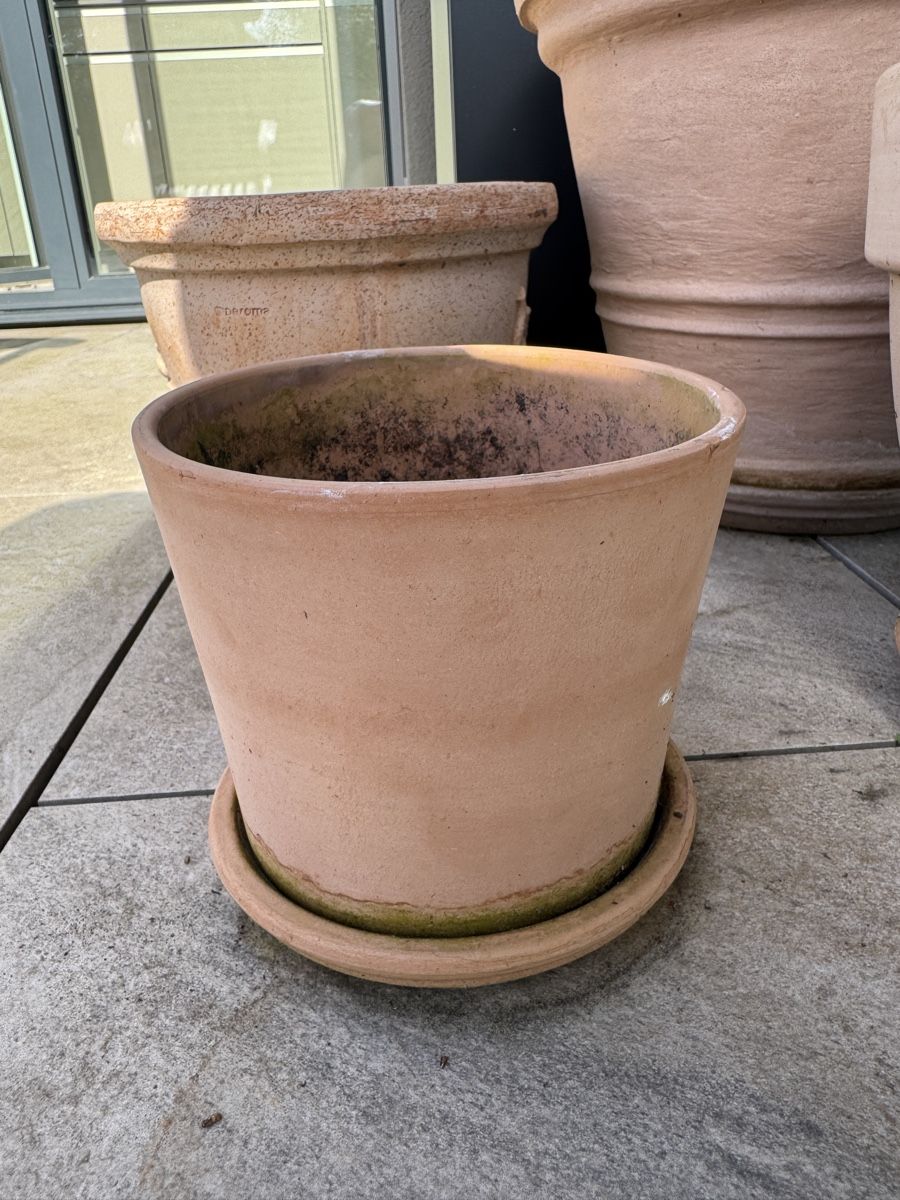 Blumentöpfe: Terrakotta-Topf 15cm – Gebraucht aus Zürich von Barney156