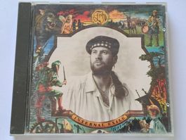 CD Fish – Internal Exile  ( Prog Rock )