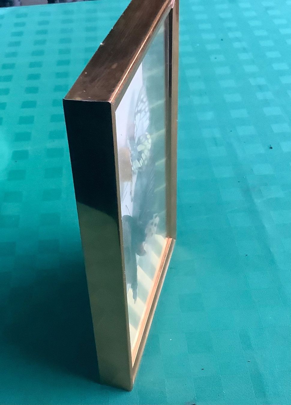 Foto & Immagini: CHIN.BILD MIT ECHTEN SCHMETTERLINGEN – Usato da Adlikon b.Regensdorf venduto da Crystaldragon09 3