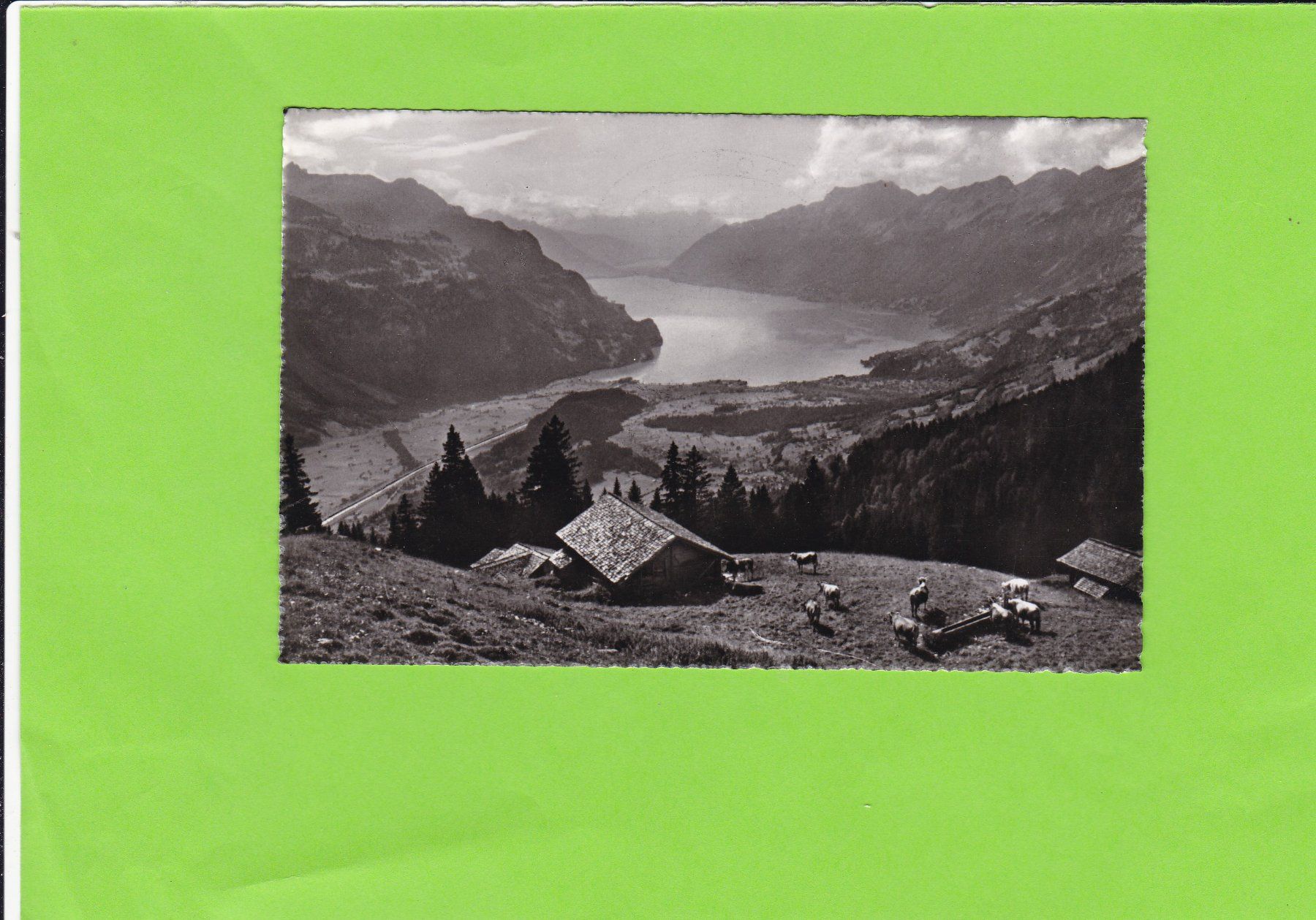 Cartoline postali: Höheweg Brünig-Rothorn – Usato da St. Peterzell venduto da neckertal