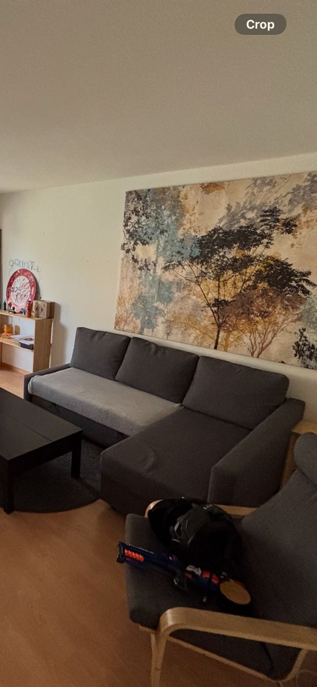 Sofas: FRIHETEN SOFA – D'occasion à Zürich par BenS04