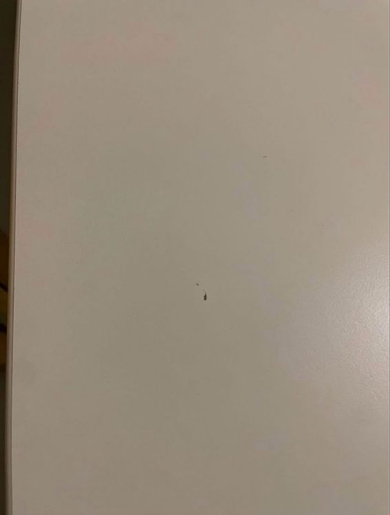 Scrivanie: 2x Bürotisch/Schreibtisch 160x80 identisch – Usato da Stetten AG venduto da Sirius_28 6