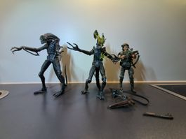 NECA Aliens 7" Actionfiguren Set (Hudson & 2 Xenomorphs)