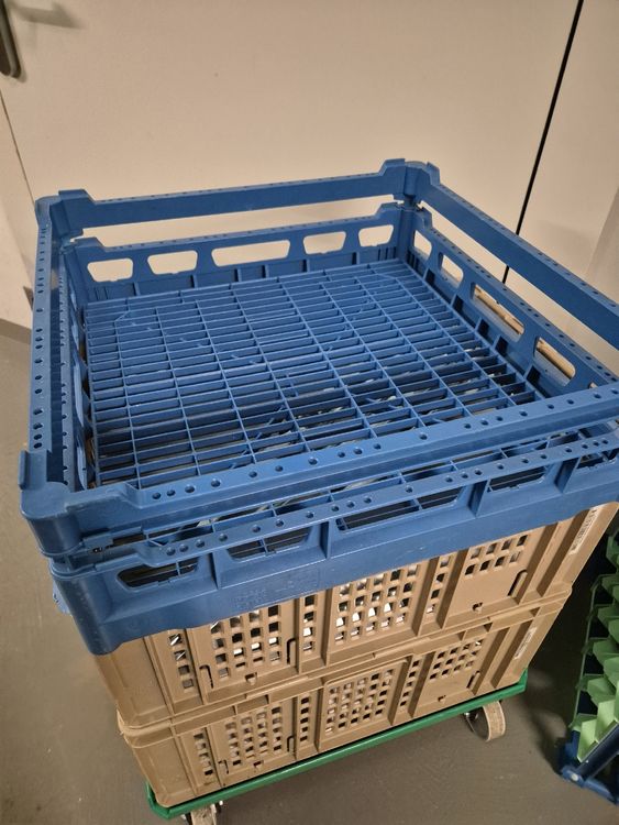 Fries Rack System Gläserkisten, diverse Farben! Top! (Gebraucht) in ...