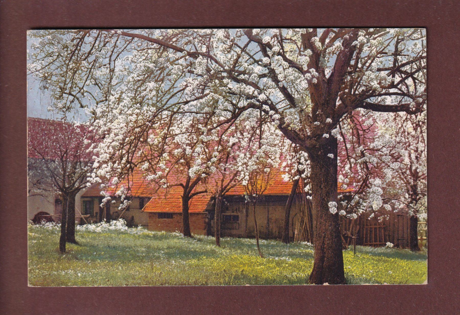 Cartoline postali: LANDSCHAFT - Frühling - Bodensee - 1913 – Usato da Pully venduto da nicecards
