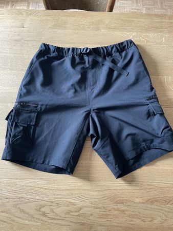 Carhartt Shorts