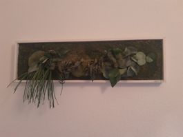 Echtmoosbild im Rahmen von StyleGreen