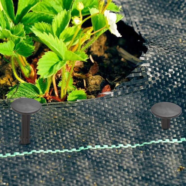 Spiral-Erdanker Set 4 Stück - Für Trampolin, Zelt & Spielgeräte