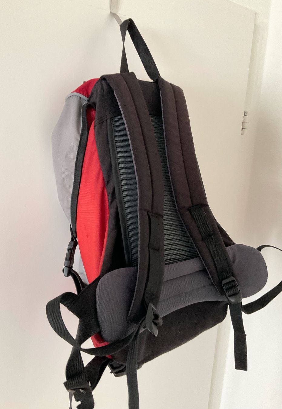 Deuter Rucksäcke: DEUTER WALK AIR 1 – Gebraucht aus Zürich von dee_75my 3