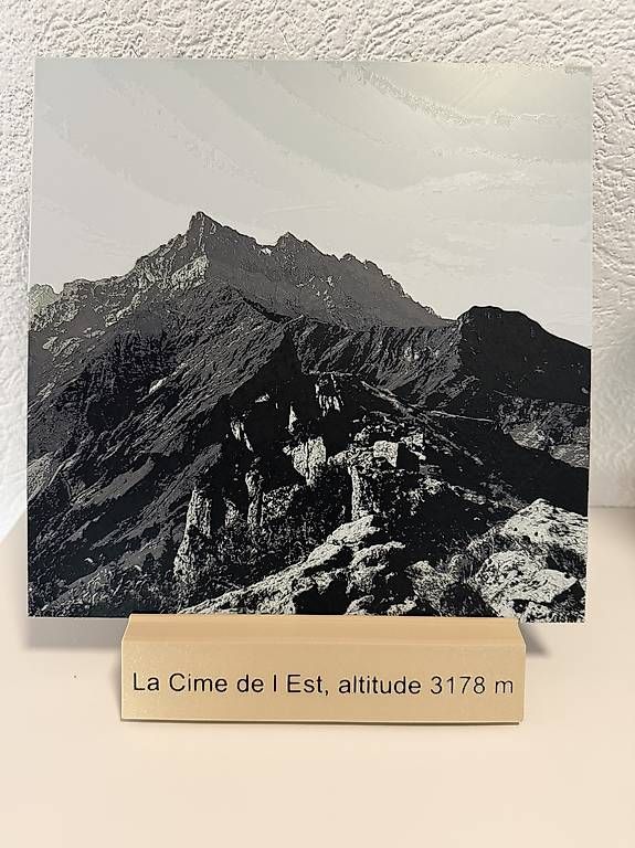 Foto & Immagini: Image imprimée en 3D des Dents du Midi – Nuovo e nell'imballaggio originale da Ollon VD venduto da reefguard