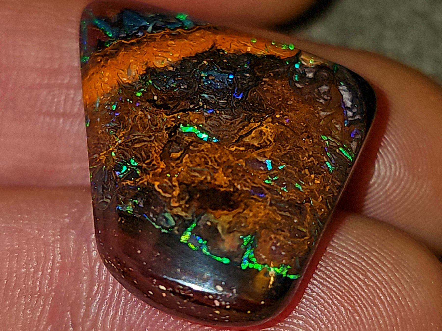 Edelsteine: 37.34ct Boulder Opal aus Koroit, Australien – Neu und originalverpackt aus Uerkheim von Winwinner 1