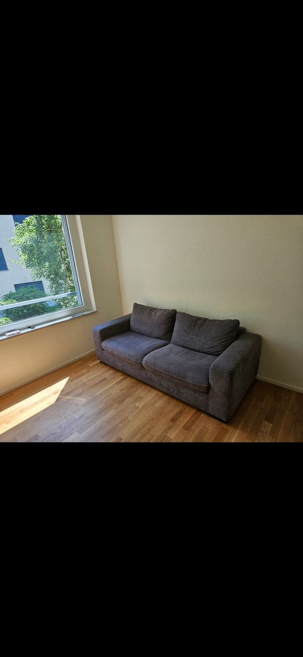 Conforama Divani: Sofa mit auziehbarem Bett – Nuovo (secondo la descrizione) da Regensdorf venduto da ale_n7p2
