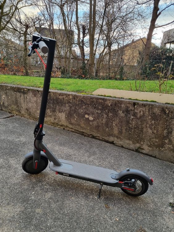 EScooter D8 Pro Kaufen auf Ricardo