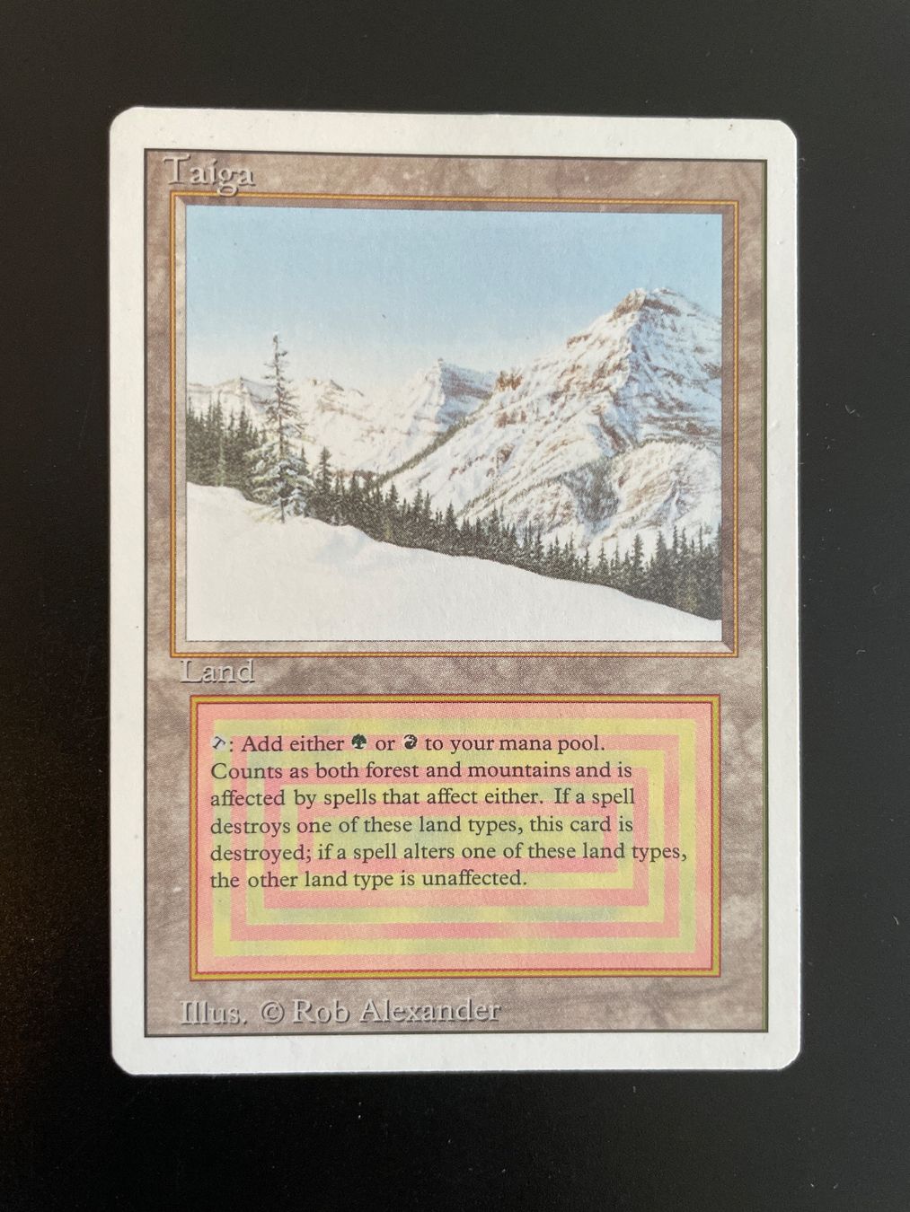 Magic The Gathering Carte collezionabili: Magic The Gathering Taiga Revised guter Zustand – Usato da Frauenfeld venduto da man_2r6n