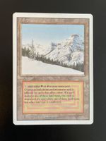 Magic The Gathering Taiga Revised guter Zustand