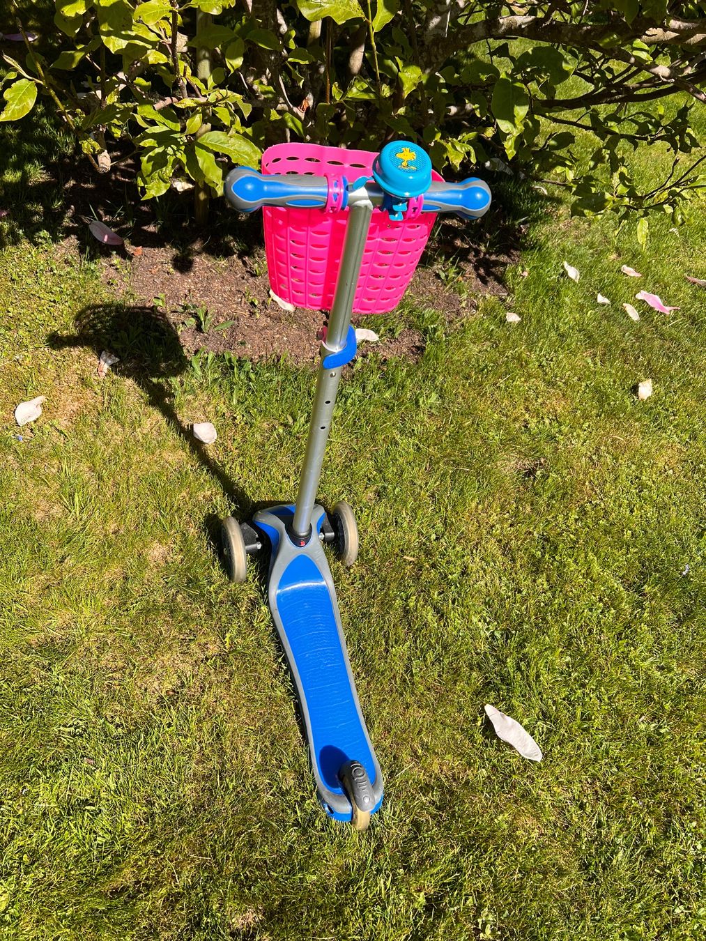 Kickboard: Globber Primo - Kickboard - Scooter – Usato da Ebertswil venduto da Arula7 1