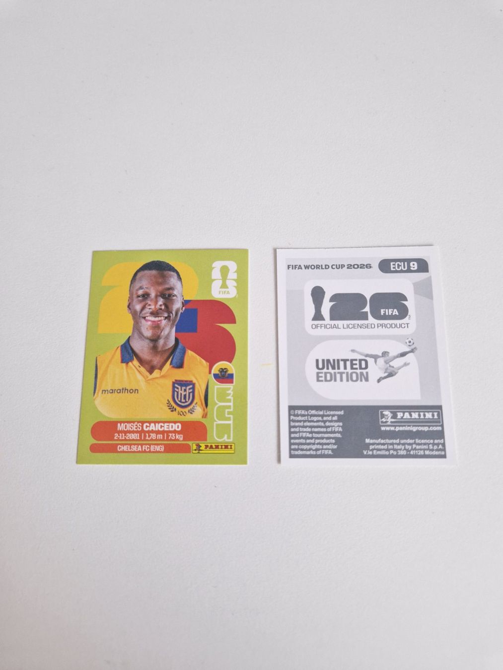 Panini Cartes à collectionner: Panini Sticker ECU9 – Neuf (Voir description) à Stüsslingen par white_angel86