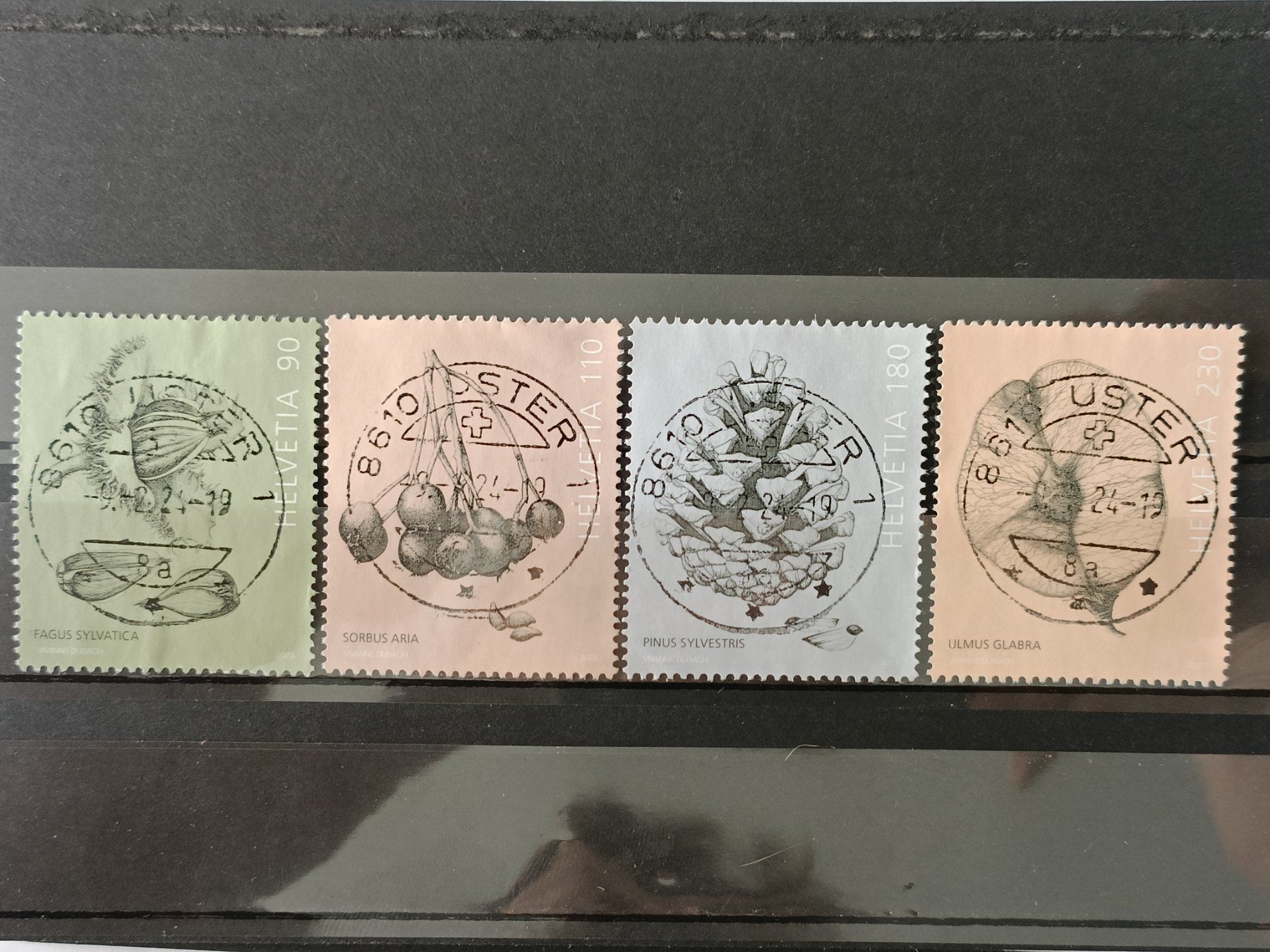 Alle Briefmarken: 2023 Baumfrüchte Top Stempel – Gebraucht aus Dübendorf von goeggi79