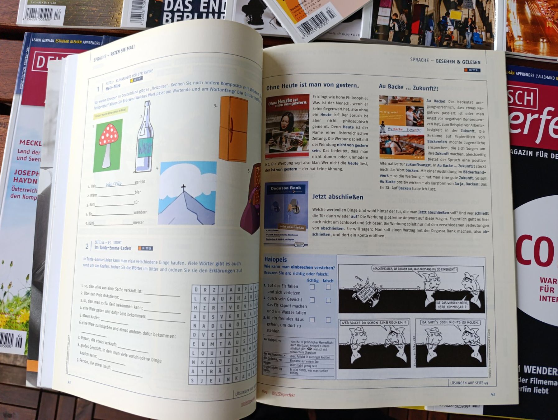 Riviste & Magazine: Deutsch Perfekt, Ausgaben 1-12/2009 – Nuovo (secondo la descrizione) da Zürich venduto da mir_2kjl 5